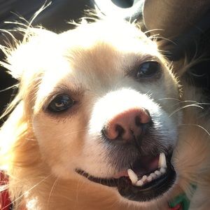 Meet your Posher, Angelena